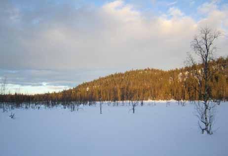 Foto: Utblick mot bergen vid Sammakkovaara.