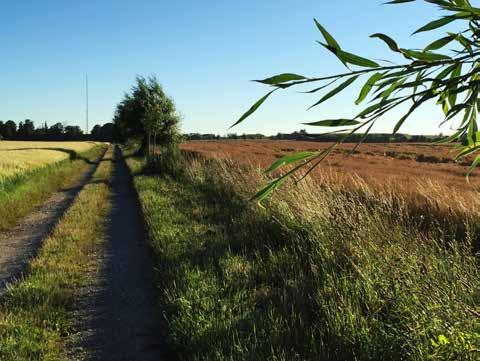 VÅRT NÄRINGSLIV Kommunen måste öppna upp sig mot näringslivet och företagen! I vår kommun finns många framgångsrika företag, stora som små.