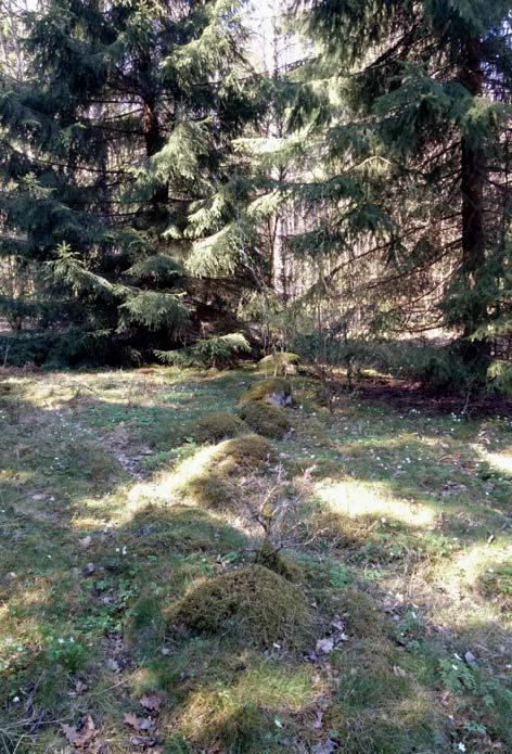 sannolikhet döljer ytterligare fornlämningar ej synliga ovan mark. Ytterligare, i marken nedsjunkna, partier av stensträngar förekommer säkerligen också i anslutning till ovan mark synliga strängar.