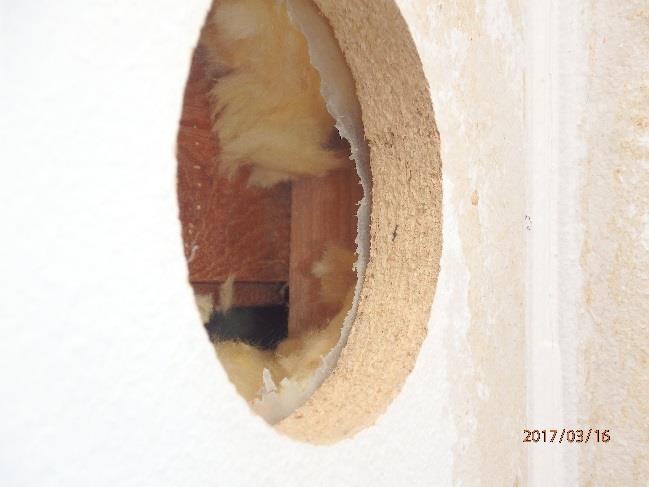 Provsvaret på spånskiva visar på kraftigt förhöjda värden av svampar, vilket innebär att mikrobiella