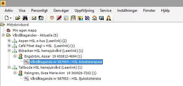 Journalen kan öppnas på flera sätt, men den rekommenderade vägen är via hjärtat.