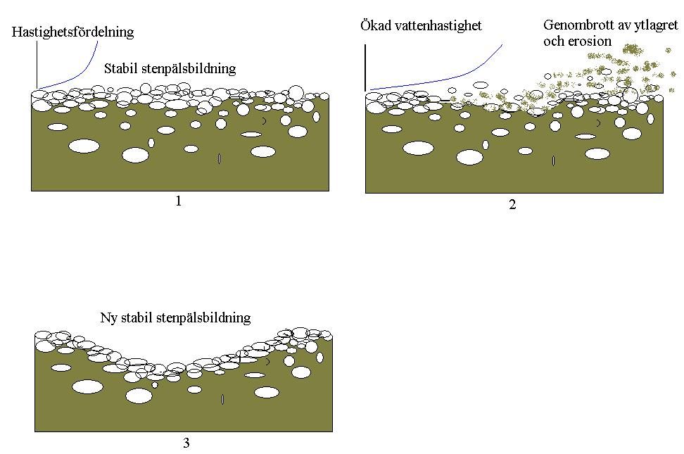 Uppdragsnr: 00386 5 (6) sen där finmaterialet skulle erodera tills dess ett nytt skyddande stenpälslager av grövre fraktioner bildats. I figur 4 visas en schematisk bild av processen. Fig.