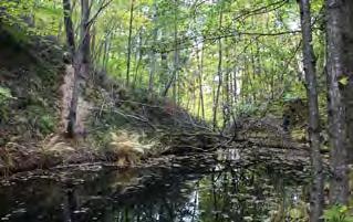 Gårdens bebyggelse gick förlorad i en brand 1975, men spår efter den medvetet planerade herrgårdsmiljön märks fortfarande i den tidigare infartsvägens raka trädkantade gaturum, Vårby allé och