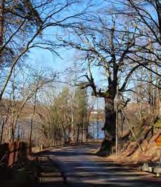 Längre fram i tiden har skogen på Masmoplatån fungerat som utmark till omgivande säterier i Vårby och Glömsta.