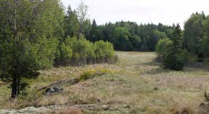 Trots det begränsade antalet stenålderslämningar är troligtvis området del av Södertörns kärnområde för stenåldern.