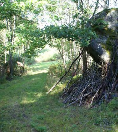 Värdebärande karaktärsdrag Flemingsbergsskogen - Stensättra Höglänt område med kraftigt varierande topografi. Fornborgar från järnåldern i strategiska höjdlägen med utblickar över Flemingsbergsviken.