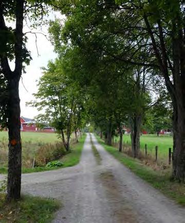 Lissmadalens forntida funktion som farled märks i det kvarvarande vattendraget och spridda spår av boplatser och gravar i höjdlägen från sten- och bronsålder.