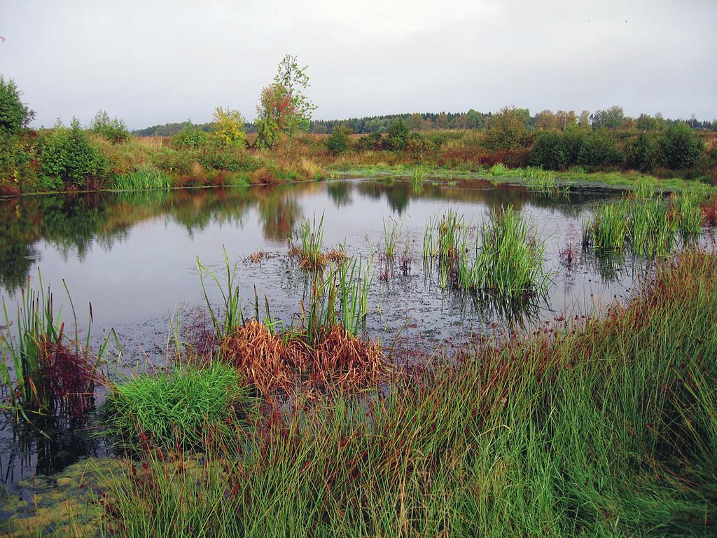 Allmänt om markavvattning I Västra Götalands län är det förbjudet att markavvattna.