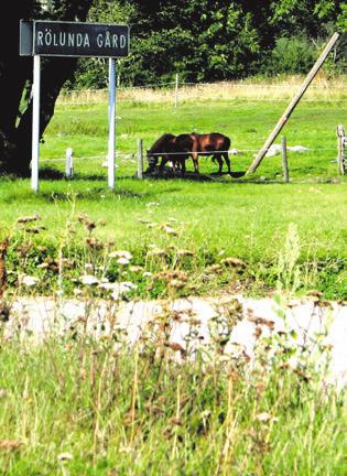 - Det var flera hundra personer anställda i bolaget som arbetade både med produktion och forskning och vi hittade många handlingar om studieresor till bland annat Ryssland.