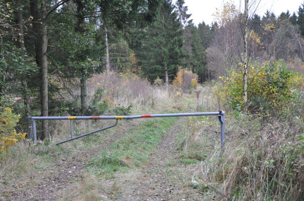 Eslöv Billinge 20:3 Skogsmark 21,4 ha skogsmark enligt bilagd skogsbruksplan från år 2017 upprättad av LRF Konsult. Virkesförråd ca 3 840 m³sk bestående av 85 % gran, 9 % björk och 5 % ek.