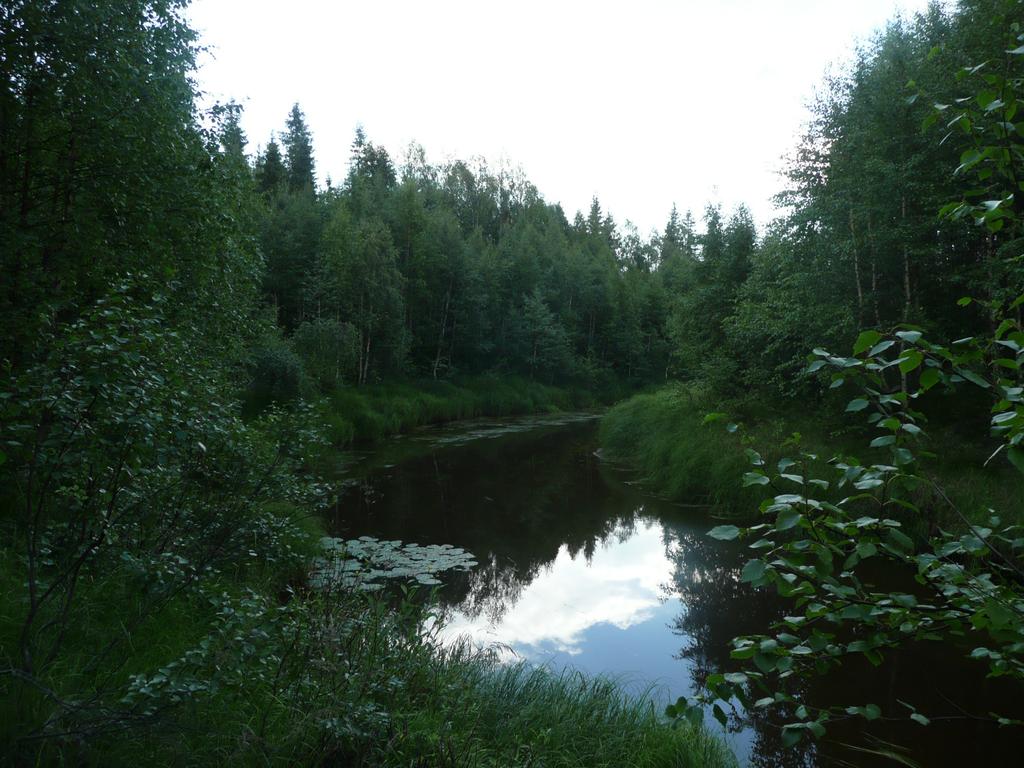 Jakt i Moån-Hömyrfor VVO och Käljärv VVO. Total virkevolym 940 m³k.