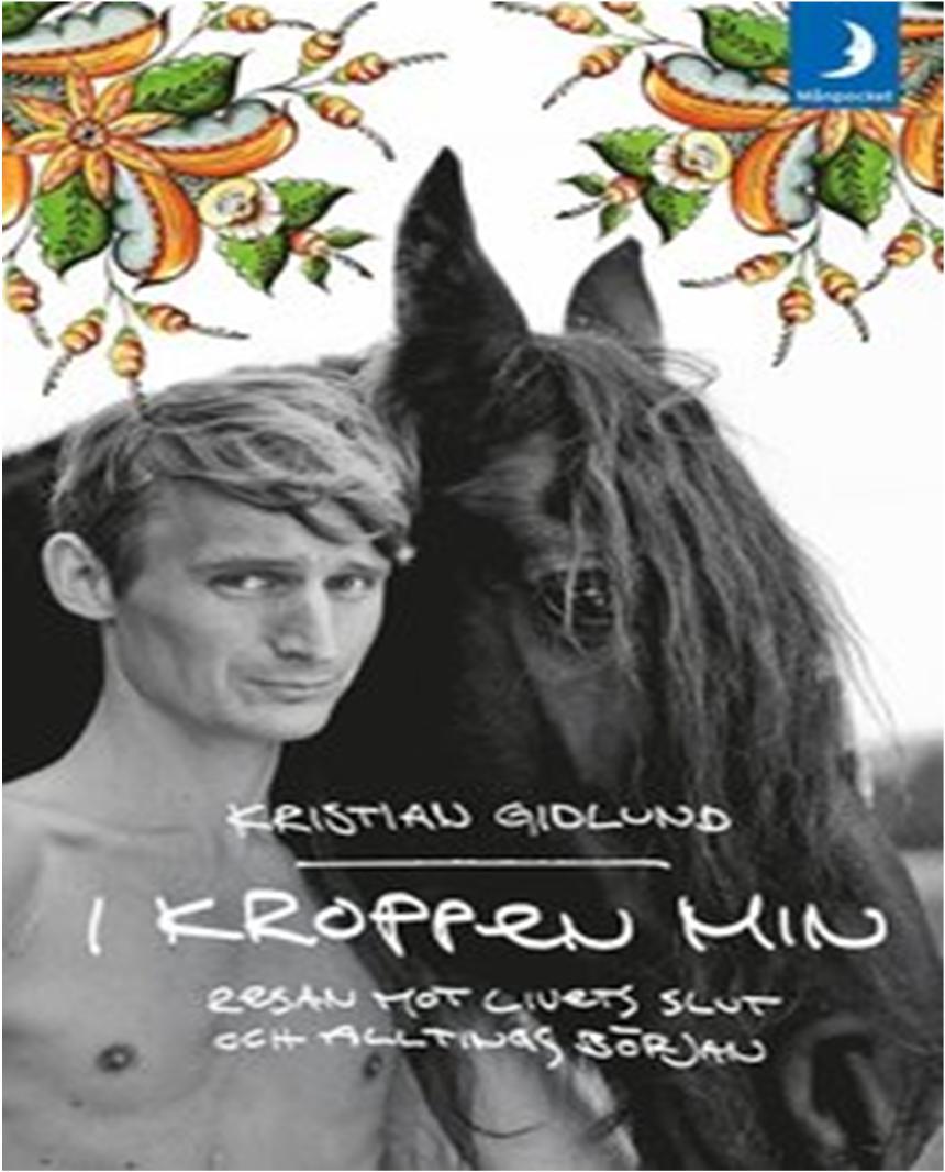 EXEMPEL PÅ ROMANER SOM