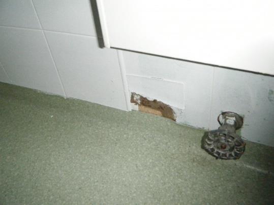 Duschrum/Wc: Fönster går till del inte att öppna.