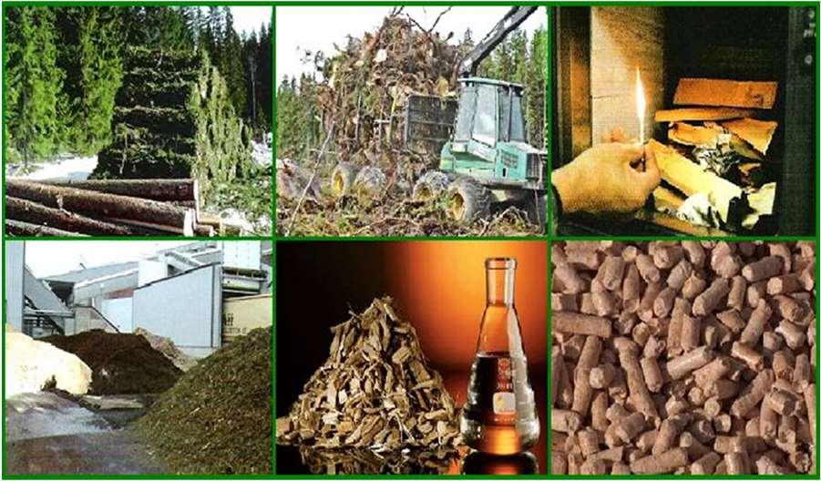 alla andra förnybara energikällor tillsammans Vi har värdefull kompetens när det gäller anläggningar för förbränning av olika slag av biobränslen, antingen för enbart värmeproduktion eller för