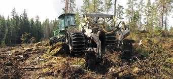 Bracke, tvåradig högläggare 13 Skogsbruket och viltet 14-15 Personalkarta 16-17