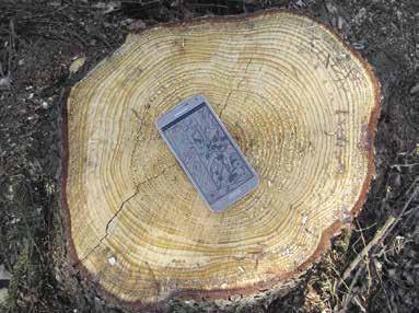 8 Heimskogen är en avgiftsfri tjänst för Skogsrevirets medlemmar Heimskogen Mobil skogsbruksplan Heimskogens egenskaper: Skogsbruksplanens figurkarta och exakta uppgifter