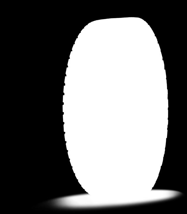 5 R 25 XL B 188 E E2 39 950 2A 682834 385/95 R 25 X-CRANE+ 170 F 18 950 2A 705961 385/95 R 25 X SNOPLUS 170 E 21 650 2A 757059 445/80 R 25 XL B 170 E E2 20 800 2A 264520