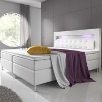 Cykeltrailer 1264-013 Avslut: 18:24