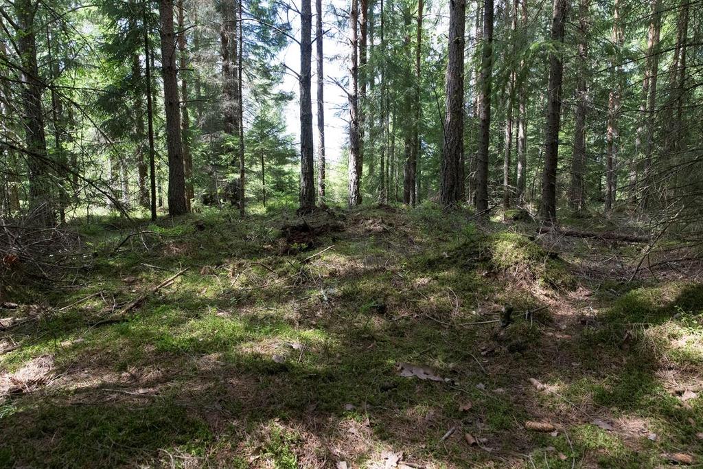 Stenarna på bilden är inget röjningsröse.