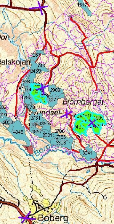 Figur 4.3. Karta över bestånden. Lila X visar var mätningen av vägen har börjat och slutat. Bestånden som är gröna är vår/hösttrakter och den blå konturen visar att de är utsökta i GISprogrammet.
