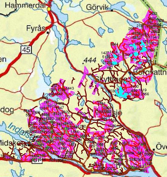 Bilaga 2. Visar en karta över Stuguns distrikt.