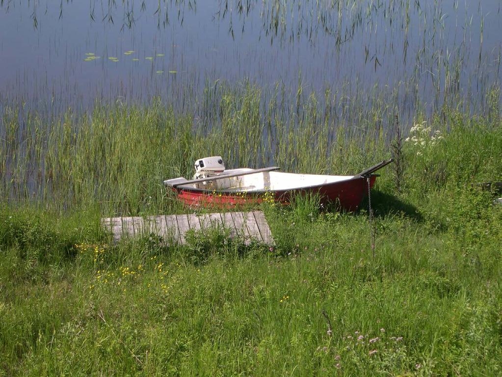Budgetuppföljning Maj 2017