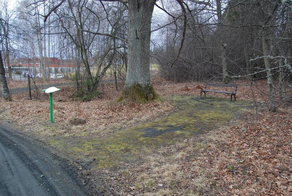 Bilaga 4. Busk- och perennplanteringen sett från Slingorna (som här går ihop i ett gemensamt spår). Foto: Jenny Jansson Bilaga 5.