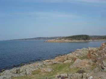 Längs Suseån, på norra sidan, från Uddaveka bro mot Boberg finns ett litet område med höga sanddyner. Där är vackert och glesbevuxet med höga tallar.