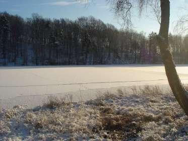 Här och var i skogen kan den uppmärksamme se hålvägar. Det är fåror i marken efter en forntida väg som trampats i första hand av klövar, hovar och fötter.