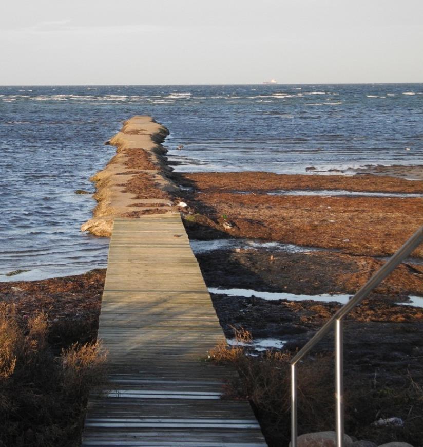 2. Miljökonsekvenser Ny träbrygga Positiv för rekreation och friluftsliv, då tillgängligheten ökar. Minimal påverkan på strömmönster för sediment och vatten.