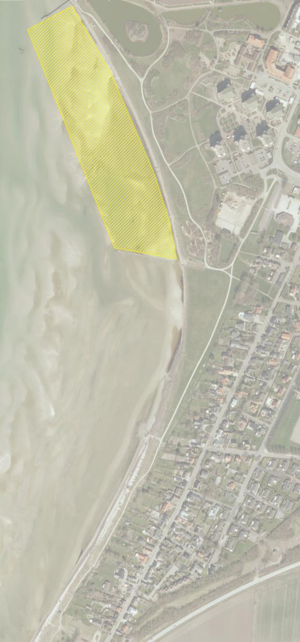 4. Miljökonsekvenser - Strandfodring Vid de tillfällen då strandfodringen äger rum kommer tillgängligheten till stranden begränsas. I området där sandupptag sker kommer flora att påverkas negativt.