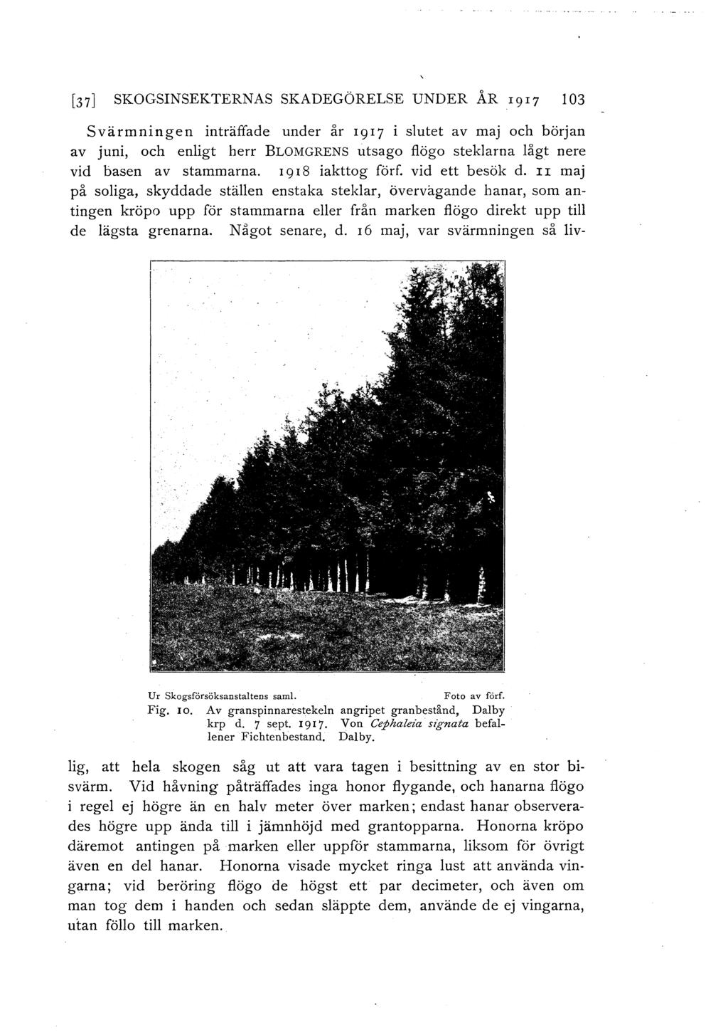 [37] SKOGSINSEKTERNAS SKADEGÖRELSE UNDER ÅR 1 917 103 Svärmningen inträffade under år I9I7 i slutet av maj och början av juni, och enligt herr BLOMGRENs utsago flögo steklarna lågt nere vid basen av