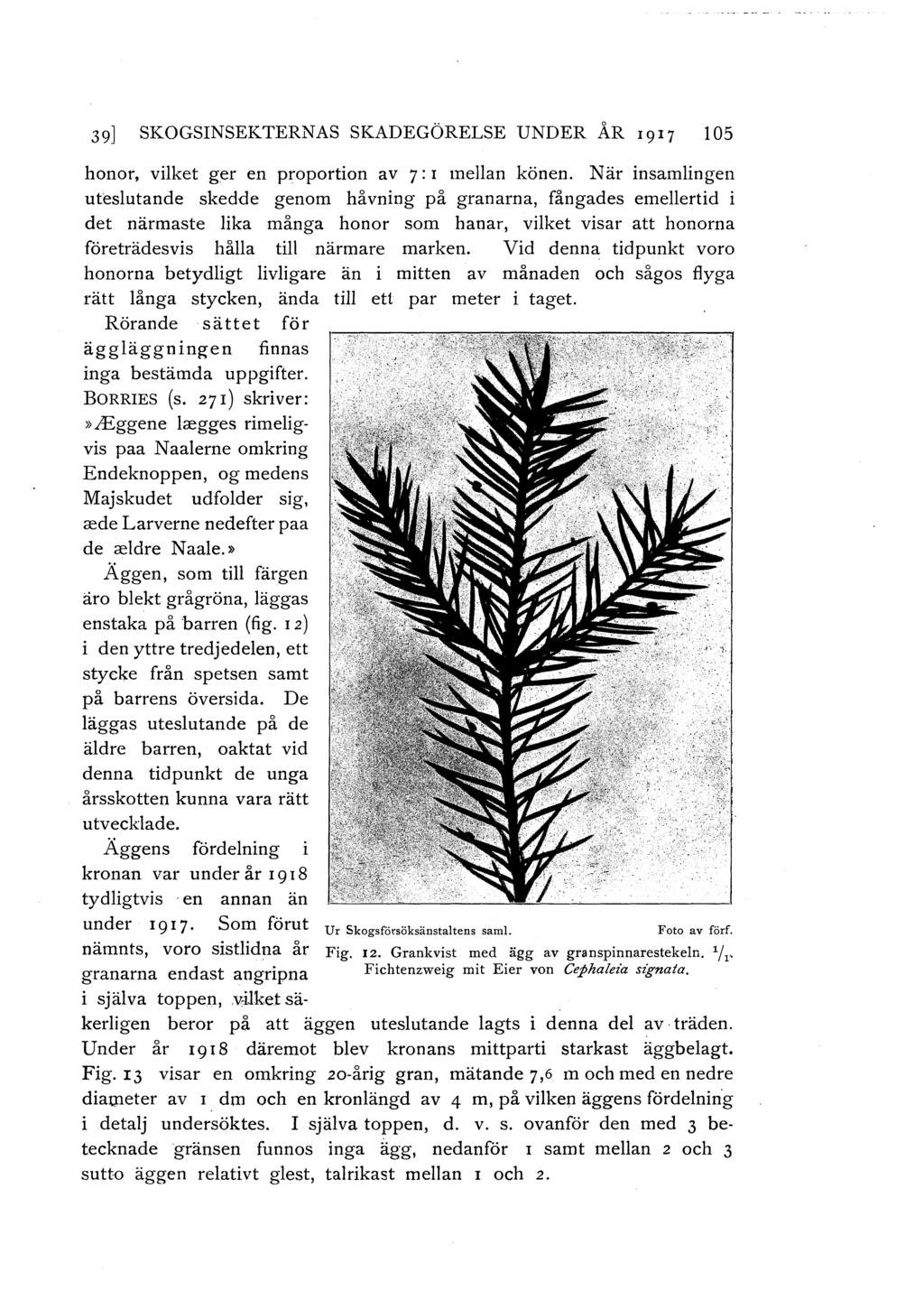 39] SKOGSINSEKTERNAS SKADEGÖRELSE UNDER ÅR 1917 105 honor, vilket ger en proportion av 7: I mellan könen.