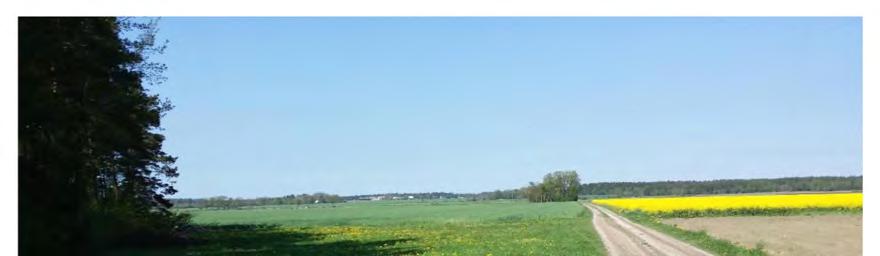 REGION GOTLAND MACRO DB Simulering Busarve UPPDRAGSNUMMER 1340160000