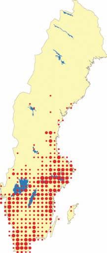 LARSON & WILLÉN Jättegröe Vattenpest Smal vattenpest Figur 2. Utbredning av jättegröe, vattenpest och smal vattenpest i Sverige.