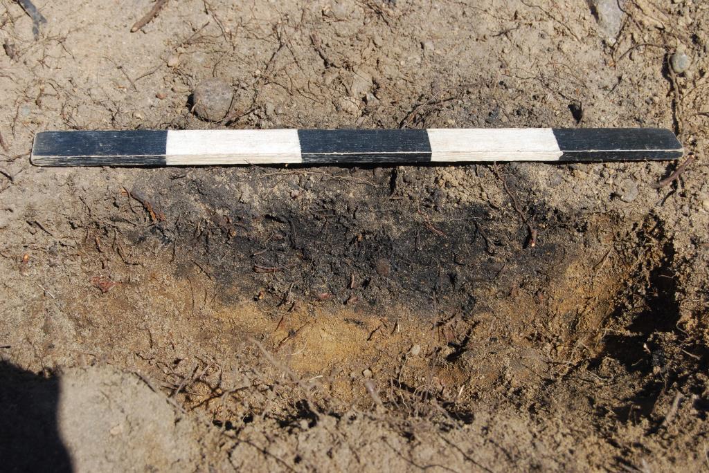 A130 En möjlig eldstad norr om huset på fältet. En ganska jämn och tydlig struktur fylld med kol. Strukturen hade ojämn form i plan men avrundade sidor och botten.