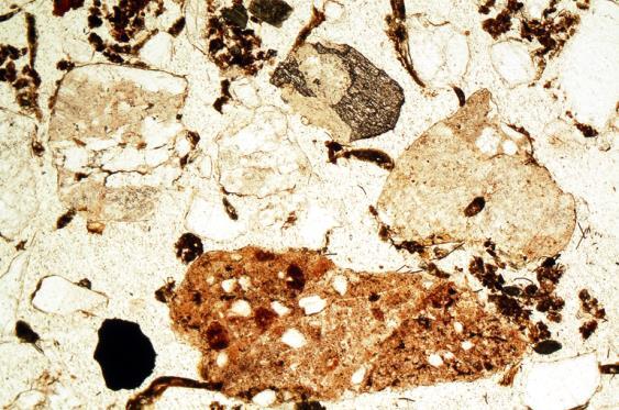 1: Scan of M19 (Posthole fill A133); poorly sorted humic coarse silts