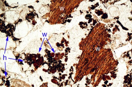 2: Photomicrograph of M19 (Posthole fill A133); sands including