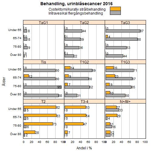 Urinblåse- och urinvägscancer Årsrapport nationellt kvalitetsregister 2016 Betydande ökning har skett de senaste åren i intravesikal flergångsbehandling för äldre. Figur 18.