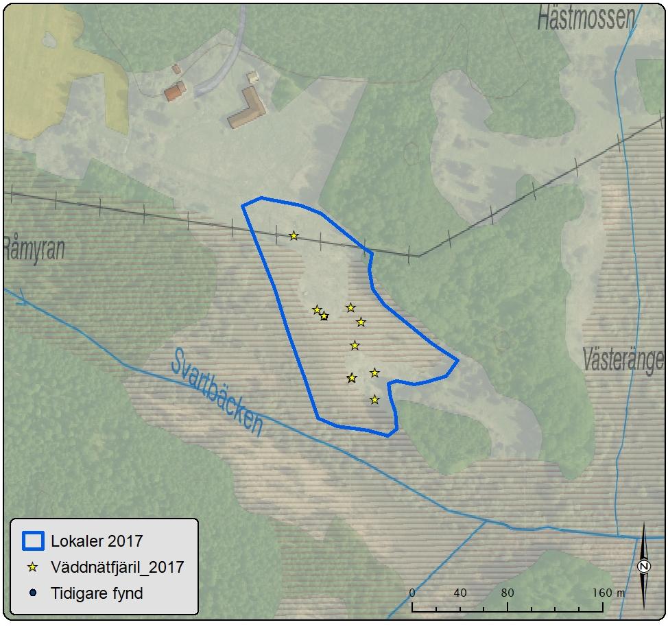 Lokal 5 Fågle Antal väddnätfjärilar: 10 Area: 16,9 ha Biotopsbeskrivning: Lokalen är belägen på en fuktig slåttermark strax söder om en gård i Fågle.