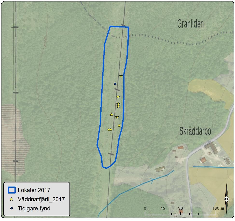 Lokal 6 Västerhästbo östra kraftledningsgatan Antal väddnätfjärilar: 10 Area: 19 ha Biotopsbeskrivning: Lokalen är belägen i en kraftledningsgata väster om Skräddarbo.