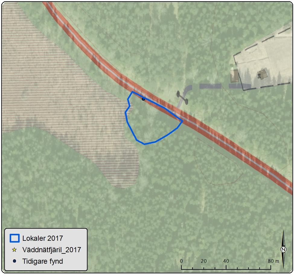Lokal 7 Lövön, Främlingshem Antal väddnätfjärilar: 0 Area: 0,1 Biotopbeskrivning: Lokalen är belägen