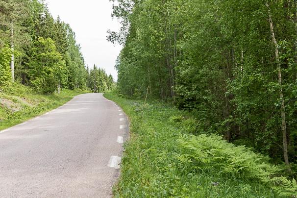 Den vänstra bilden visar brynet på myren och den högra visar vägkanten där det tidigare fyndet av