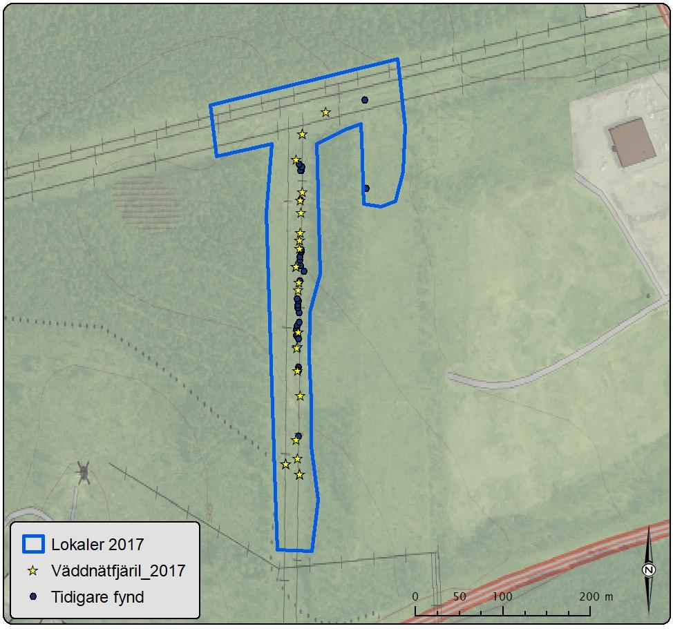 Lokal 9 Bredmossen kraftledningskorset Antal väddnätfjärilar: 37 Area: 41,5 ha Biotopbeskrivning: Lokalen sträcker sig från ett kraftledningskors i söder längs kraftledningsgatan norrut till
