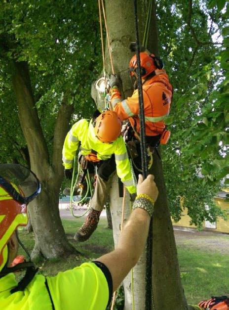 Räddning vid arbete med stöd av sele och livlina som leder till utbildningsbevis Mål: Deltagaren skall uppnå en nivå där man medvetandegör och förstår betydelsen av kunskap och agerande vid