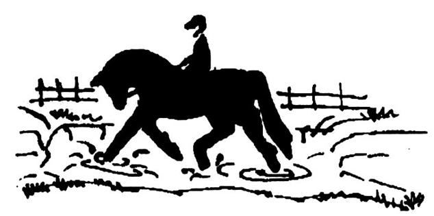 Bedömning under ridning Hästens rörelser i gångarterna Ryttarens användande av hjälperna Hästens svar på hjälperna Ryttaren beträder marken Felaktig gångart, som inte korrigeras inom 2