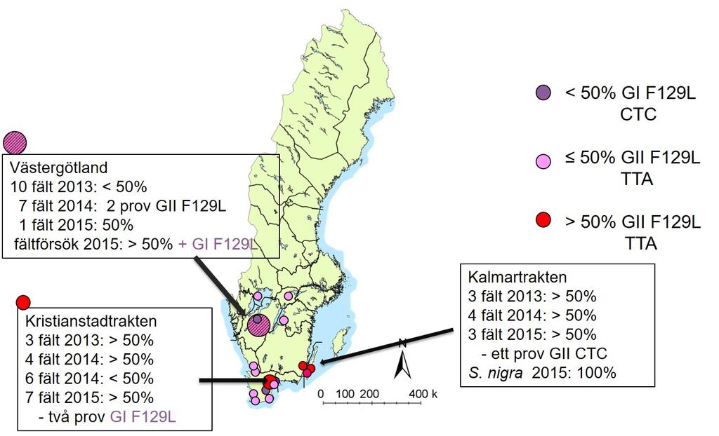 2 fält med omfattande angrepp av torrfläcksjuka.