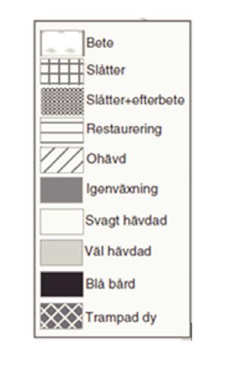 De revir som finns kvar i den här delen av Håslövs ängar är koncentrerade till den betade centrala väten och de efterbetade