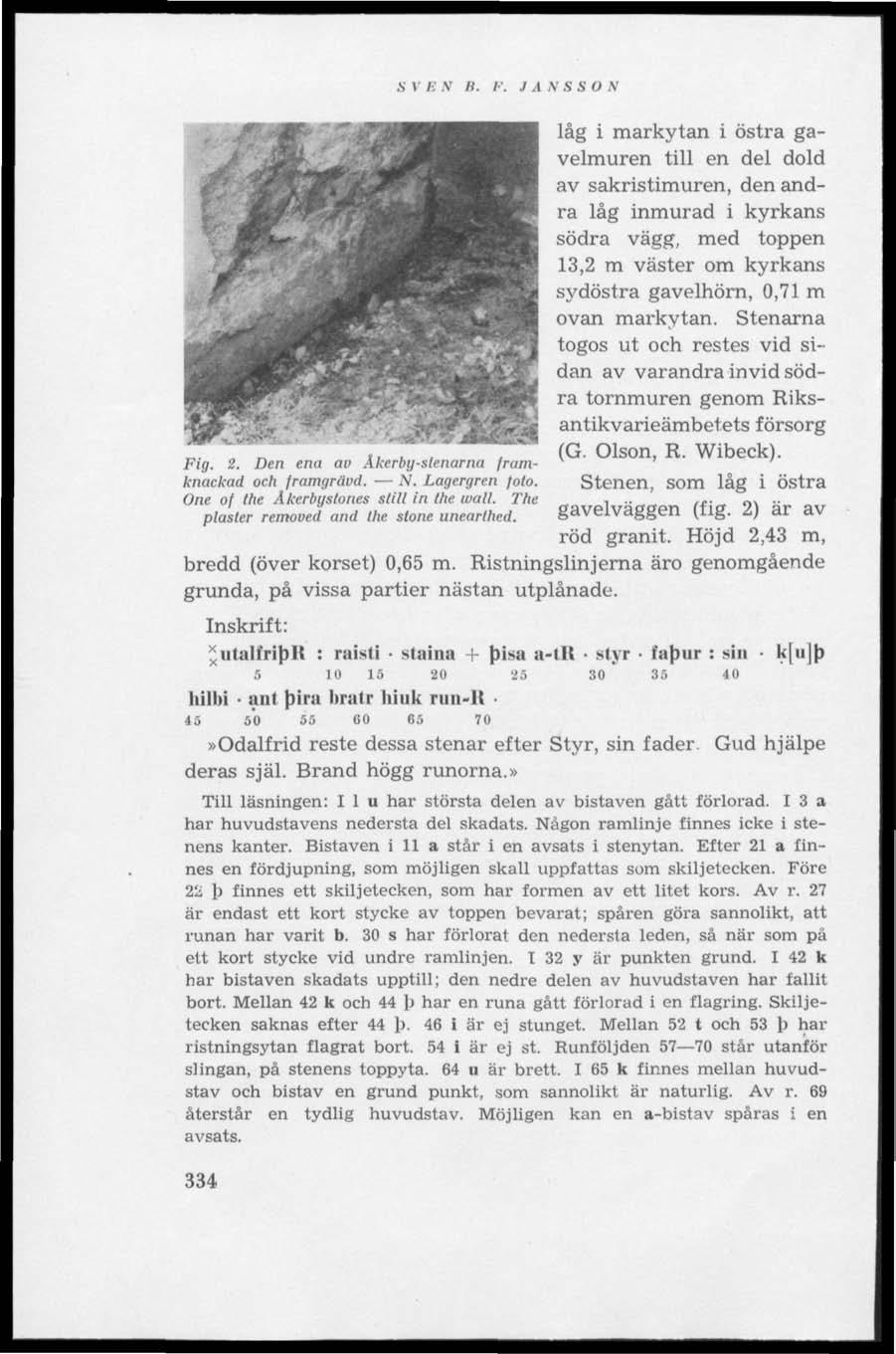 S V / ; V R. F. J A N S SO N Fig. 2. Den ena av Åkerby-stenarna framknackad och framgrävd. N. Lagergren foto. One of the Åkerbystones still in lhe wall. The plaster removed and the stone unearthed.