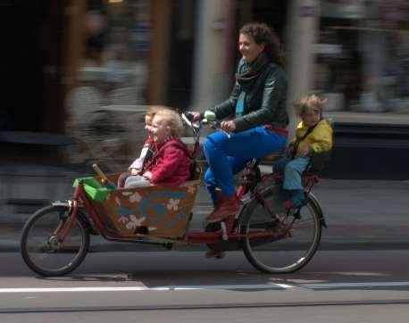 Varje grupp hade sin syn på hur en cykel borde se ut och fungera och därmed utvecklades många olika typer av cyklar.